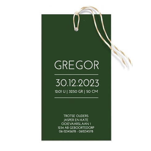 Watercolor stapelkaartje groen - Gregor