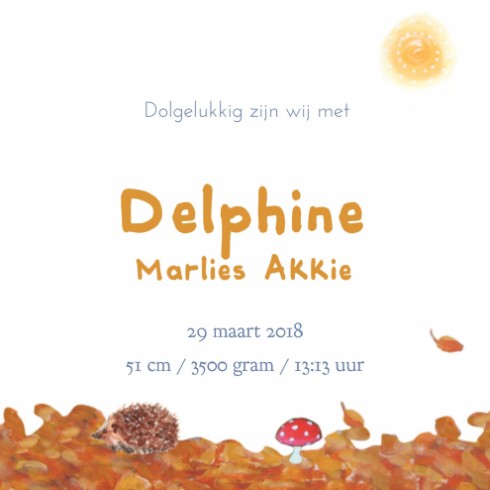 kaart binnenzijde rechts