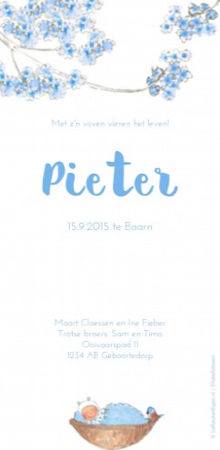kaart achterzijde