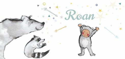 Geboortekaartje Roan - EB