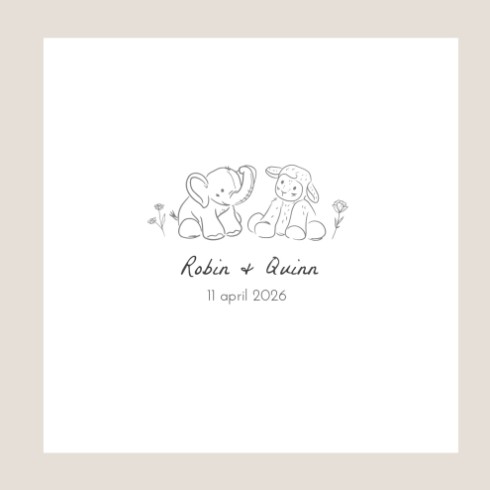 Lief geboortekaartje tweeling - Robin & Quinn